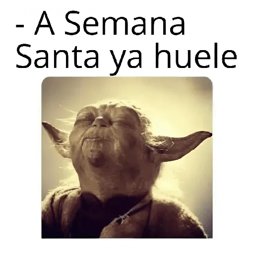 semana santa 🥳
