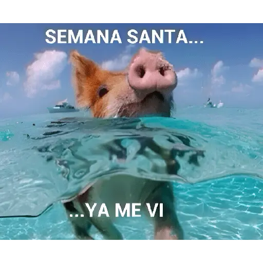semana santa 🥳