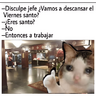 tray-icon