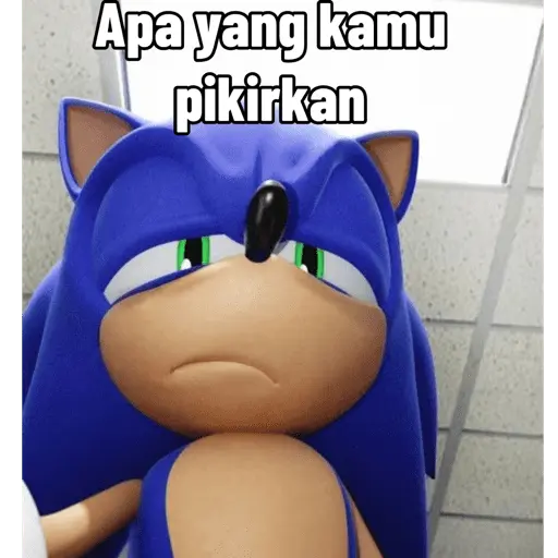 Meme Sonic Lucu