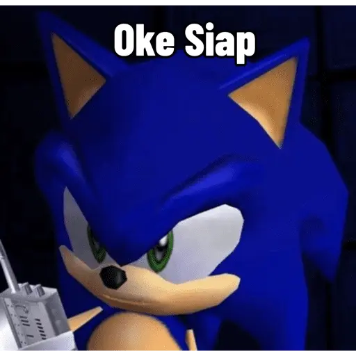 Meme Sonic Lucu