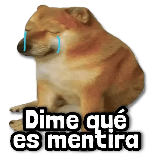 🤯 Stickers sin Filtro #➊