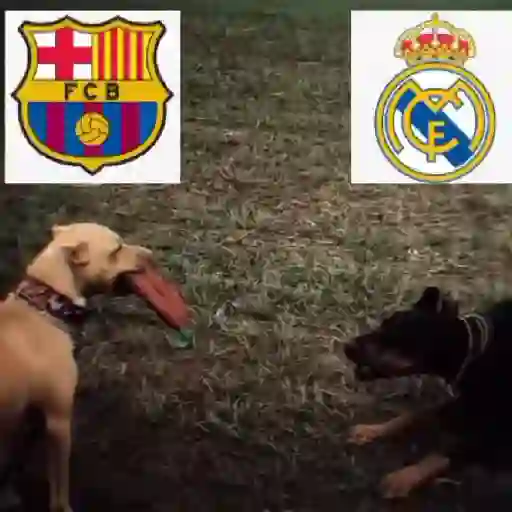 ❤️💙 Barcelona ⚽🥅