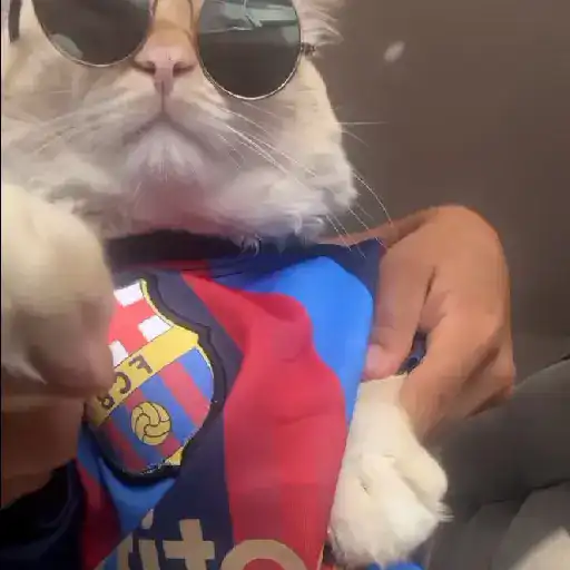 ❤️💙 Barcelona ⚽🥅