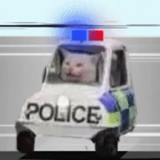 noo la policía noo🚔🚨 preview