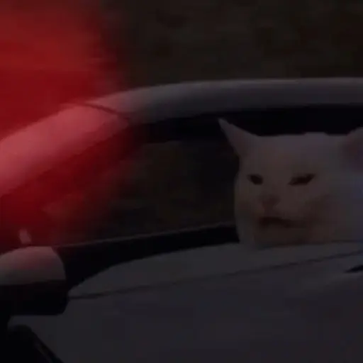 noo la policía noo🚔🚨