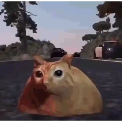 noo la policía noo🚔🚨