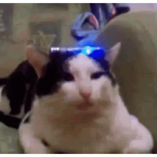 noo la policía noo🚔🚨