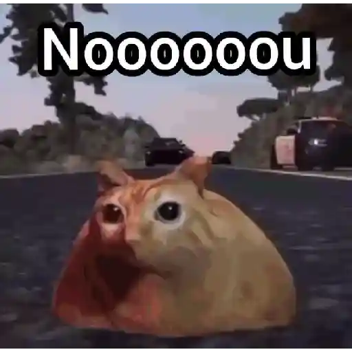 noo la policía noo🚔🚨