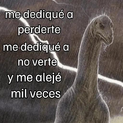 Letras de canciones 🎶
