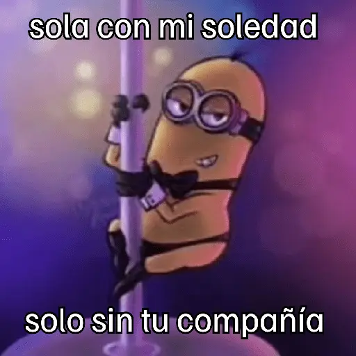 Letras de canciones 🎶