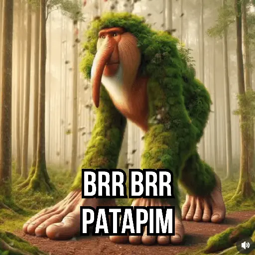 Meme Tiktok Brainrot
