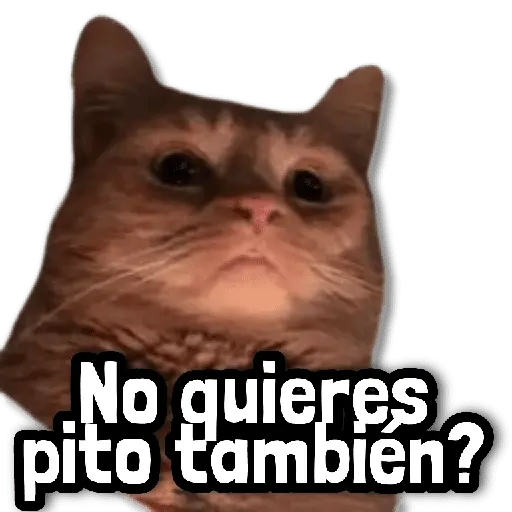 Stickers sin Filtro #➋ 💭