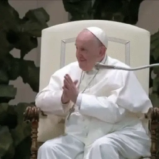 papa francisco  preview