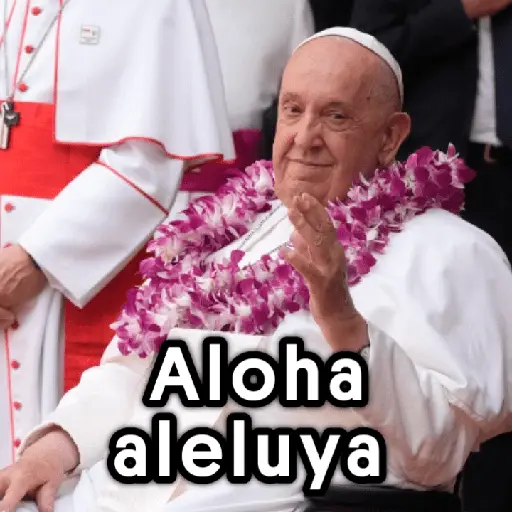 💜 Papa Francisco 💛