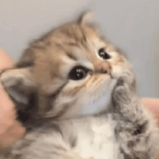 🐾 Gatitos Anti-Depresivos #2 🐾 preview