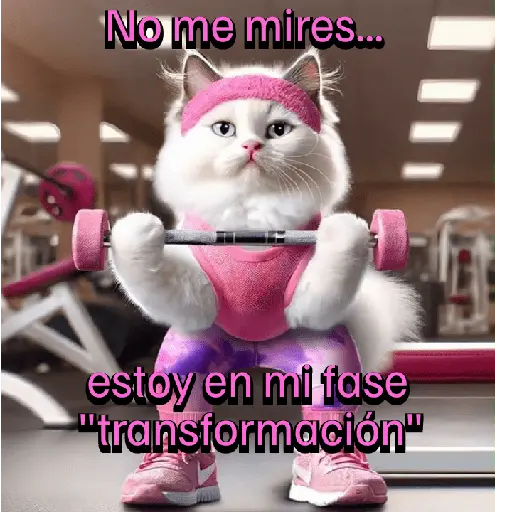 Funny Gym 💪🏼