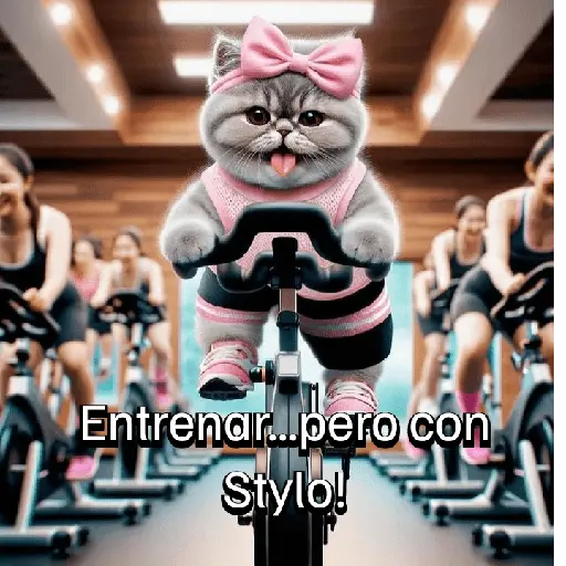 Funny Gym 💪🏼