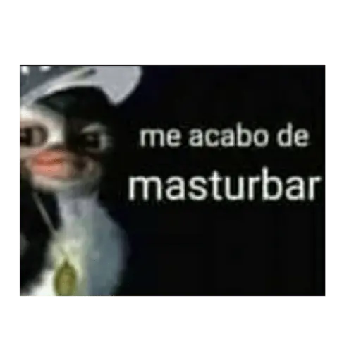 soy admin
