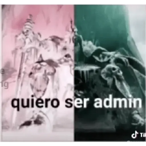 soy admin