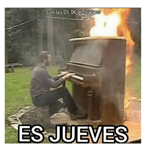 soy admin