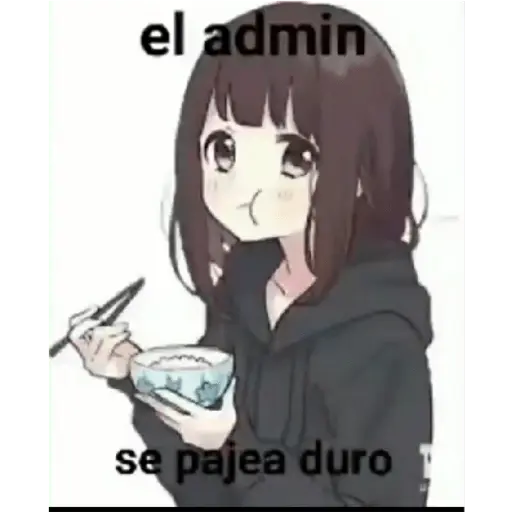 soy admin