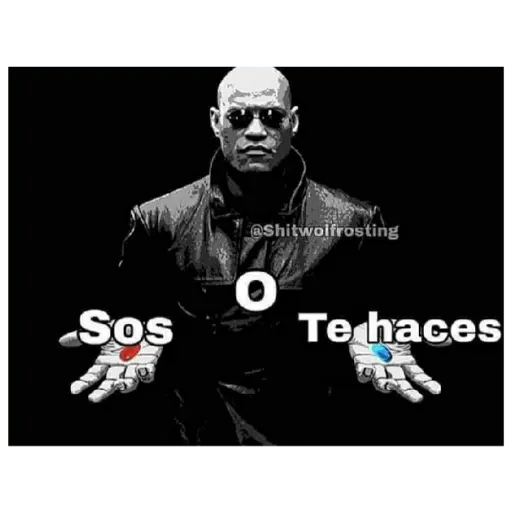 soy admin