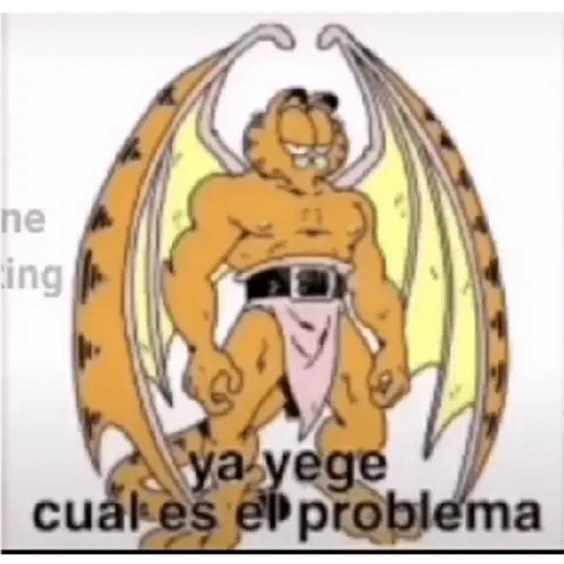 soy admin