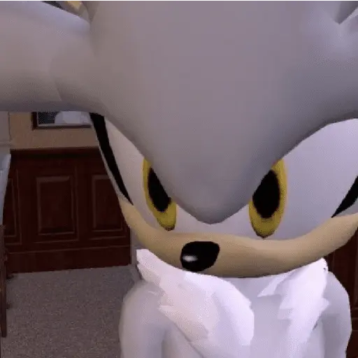 sonic expression meme 💙😼