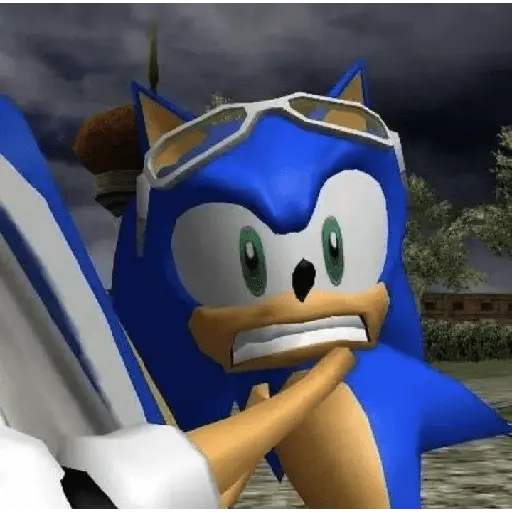 sonic expression meme 💙😼
