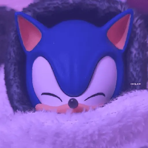 sonic expression meme 💙😼