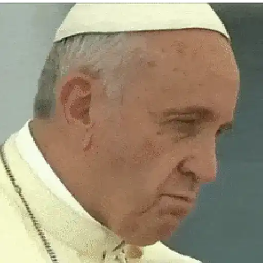 papa Francisco 2😎 preview