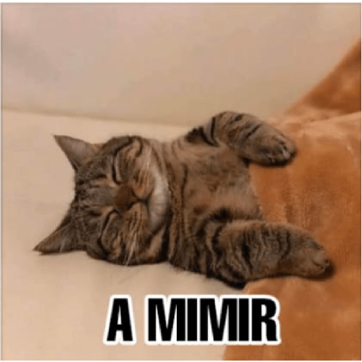 Ya no soy admin preview