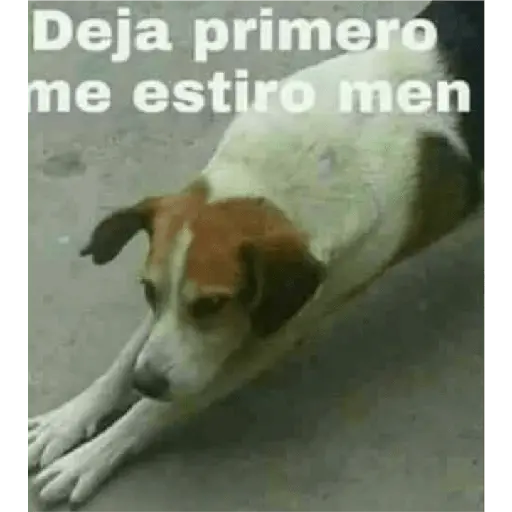 Ya no soy admin