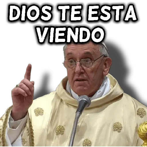 Papa francisco reacciones