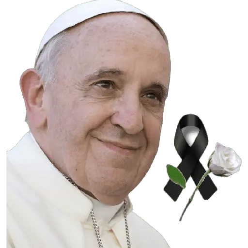 Papa francisco reacciones