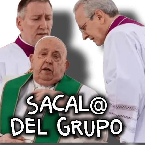 Papa francisco reacciones