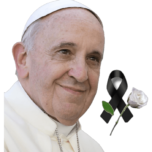Papa francisco reacciones preview
