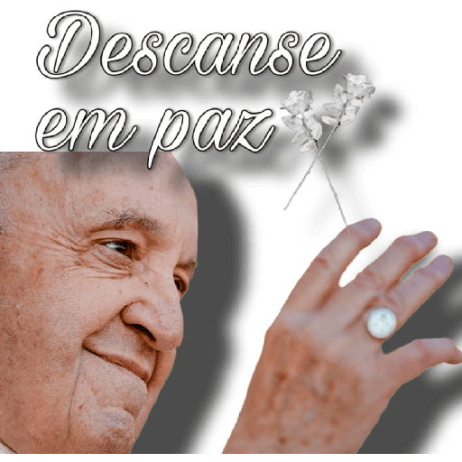 Papa francisco reacciones preview