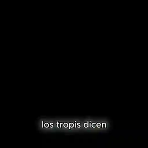 🦈 Los tralaleritos dicen 💀