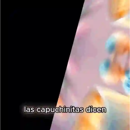 🦈 Los tralaleritos dicen 💀