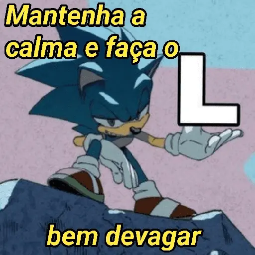 Sonic da zoeira🤪