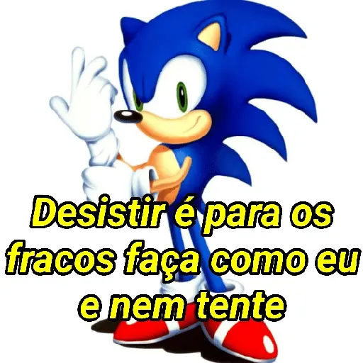 Sonic da zoeira🤪