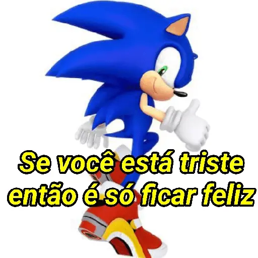 Sonic da zoeira🤪