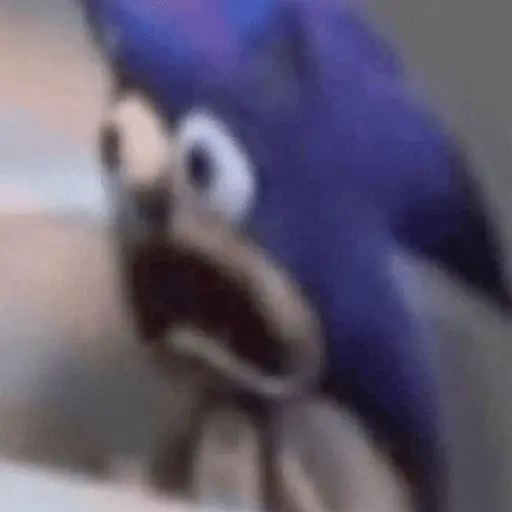 Sonic da zoeira🤪