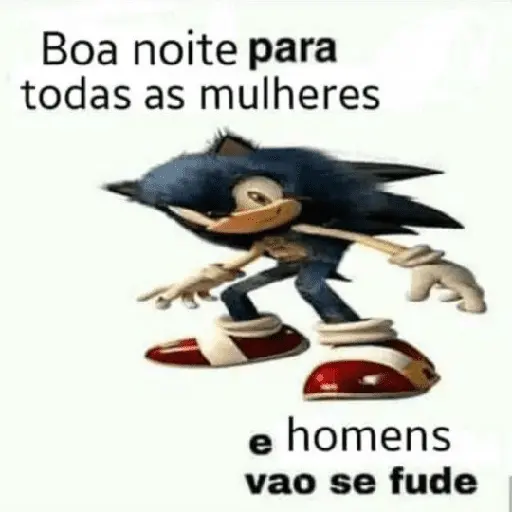 Sonic da zoeira🤪