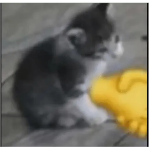 soy admin