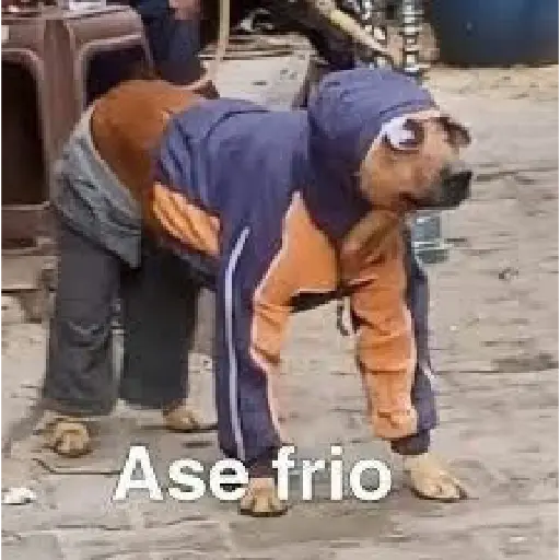 soy admin