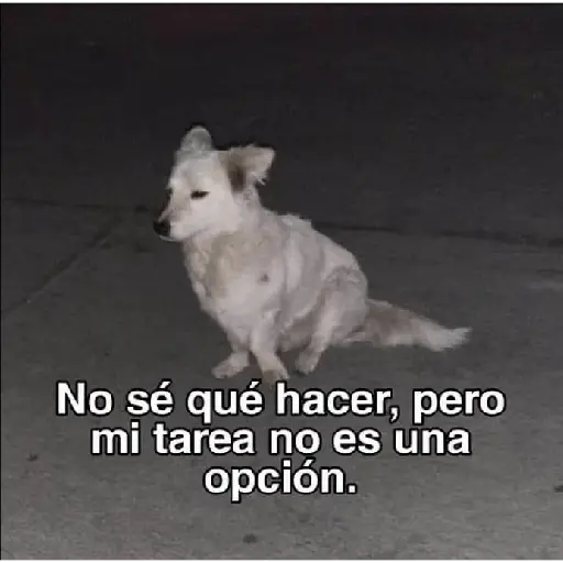 soy admin