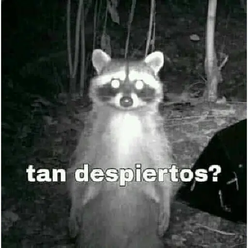 soy admin